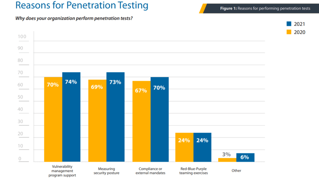 Reasons for Penetration Testing - Berezha Security